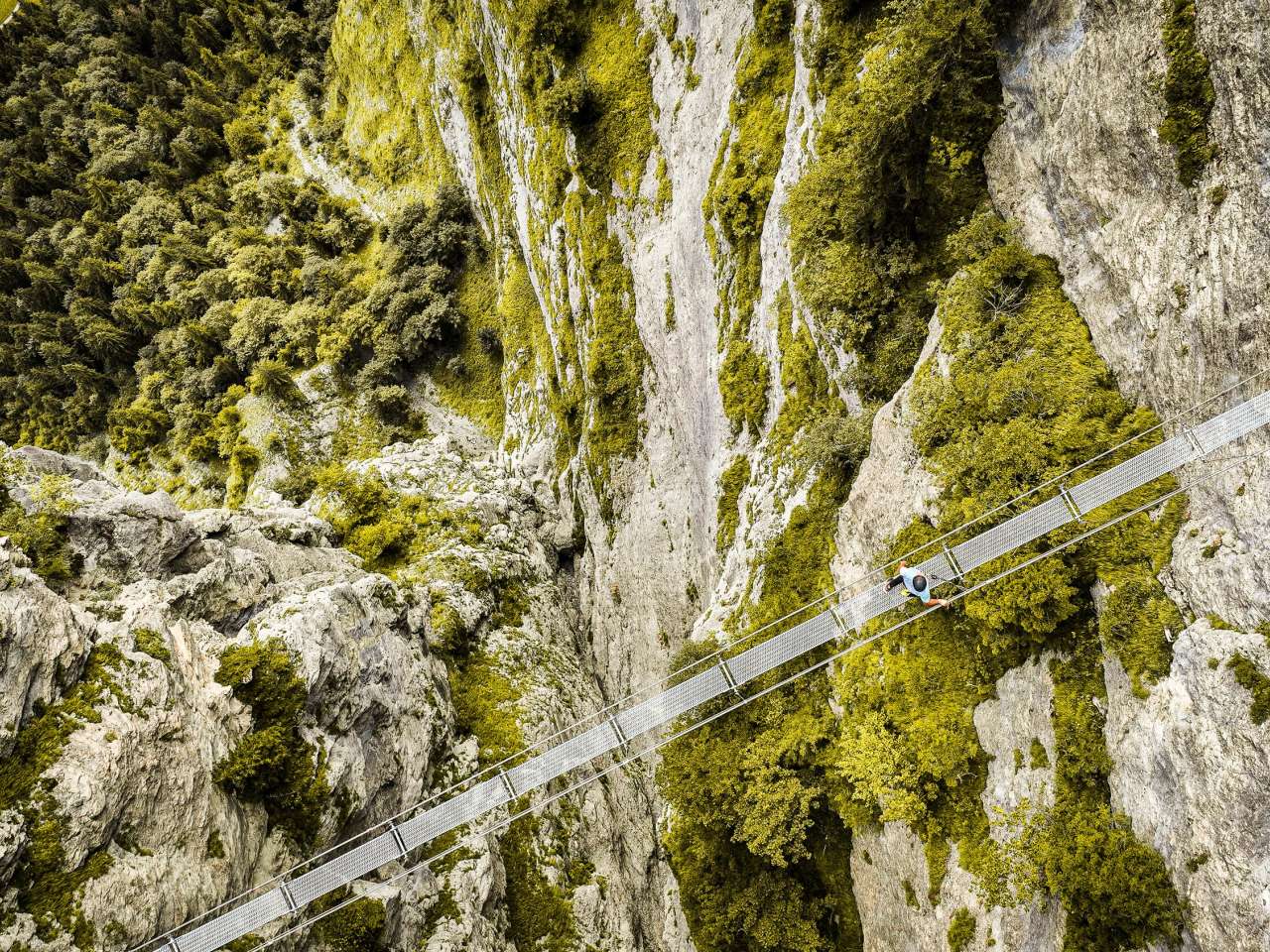 Gimmelwald Klettersteig Nur für Schwindelfreie: Das Markenzeichen des Klettersteigs Mürren-Gimmelwald ist diese Hängebrücke.